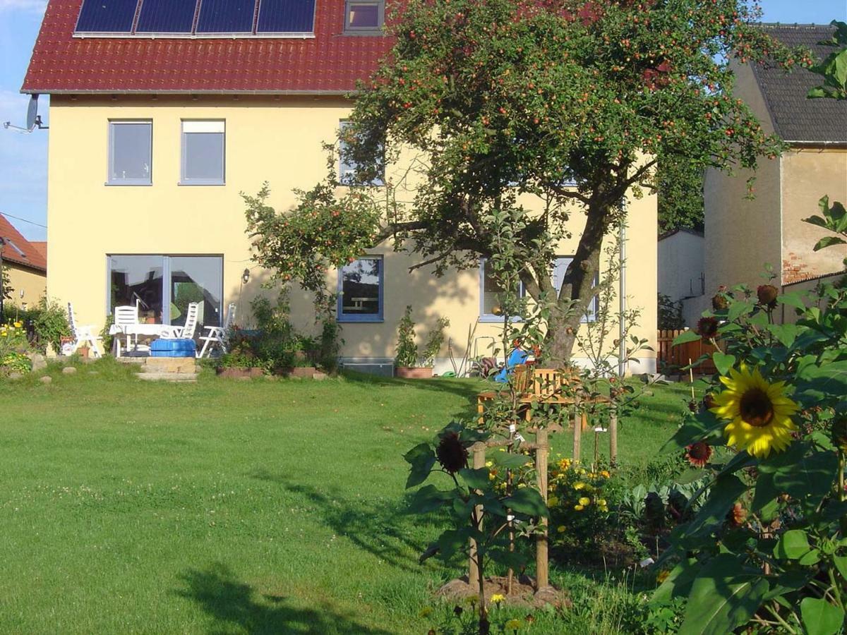 Fewo Dd- Wilschdorf Dresde Exterior foto
