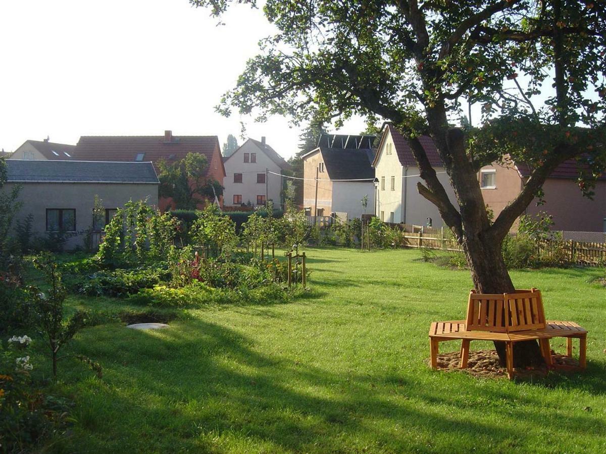 Fewo Dd- Wilschdorf Dresde Exterior foto